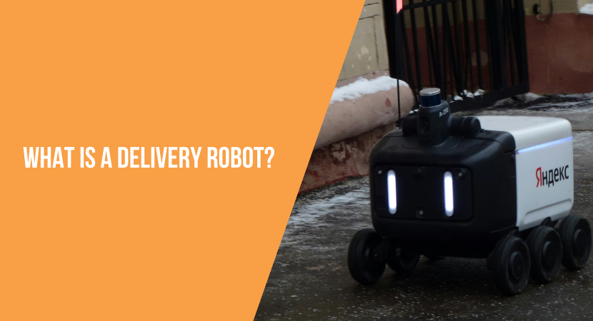 What is a delivery robot