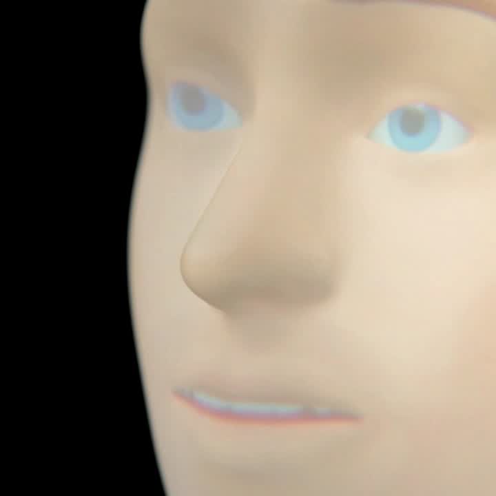 Furhat Robot
