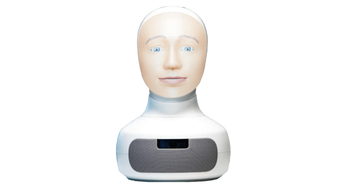 Furhat Robot