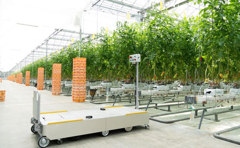 マルチ台車ロボット