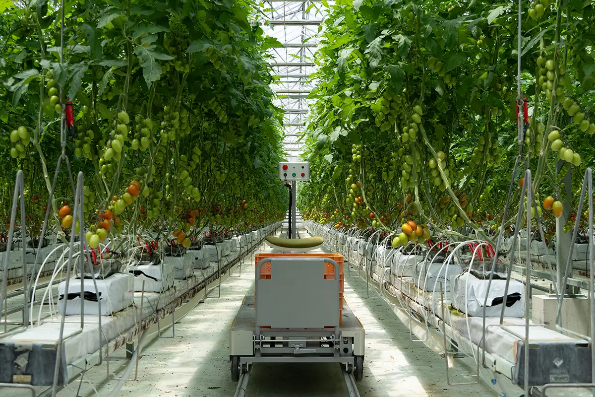 マルチ台車ロボット