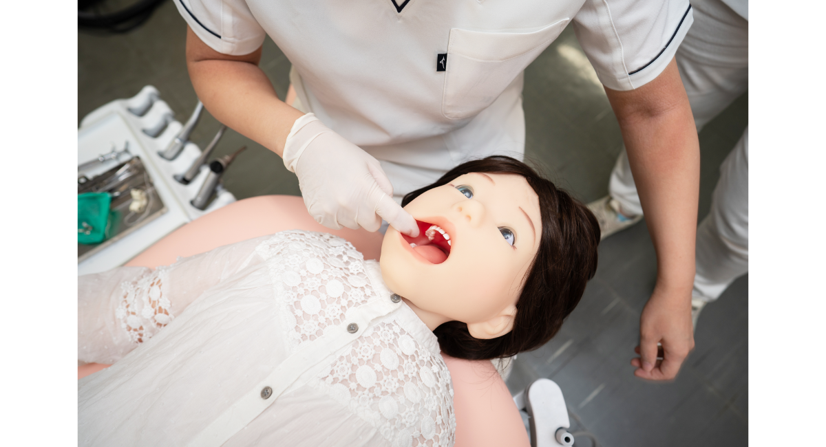 Pedia_Roid（ペディアロイド）