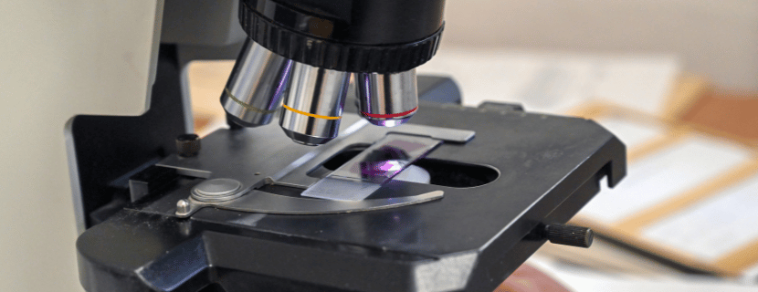 【2026年最新情報】光学顕微鏡の注目トレンド